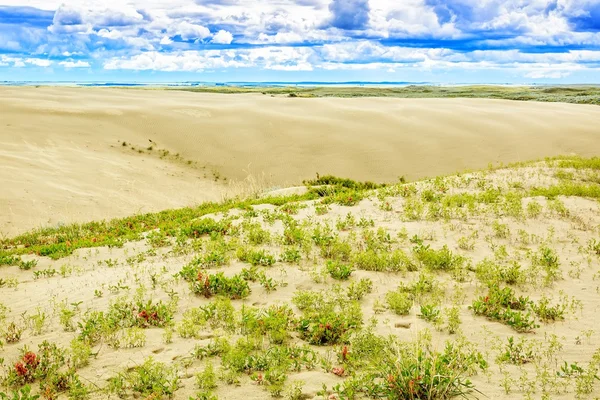 Great Sandhills Bevatten Een Van Grootste Sets Van Actieve Zandduinen — Stockfoto