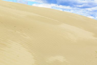 Büyük Kumtepeleri Kanada 'daki en büyük aktif kum tepelerinden birini içerir. Kum tepecikleri kavak ağacı ve huş ağacı gibi küçük ağaç kümeleri tarafından süslenir ve yerel otlara ev sahipliği yapar.