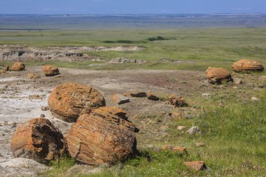 Red rock coulee doğal alanı