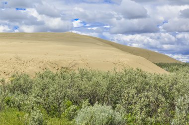 Büyük Kumtepeleri Kanada 'daki en büyük aktif kum tepelerinden birini içerir. Kum tepecikleri kavak ağacı ve huş ağacı gibi küçük ağaç kümeleri tarafından süslenir ve yerel otlara ev sahipliği yapar.