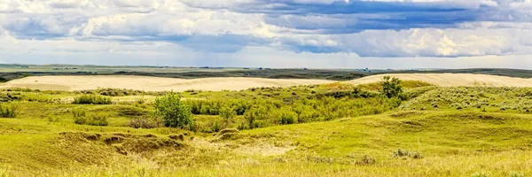 Great Sandhills Innehåller Största Uppsättningarna Aktiva Sanddyner Kanada Sanddynerna Kantade — Stockfoto