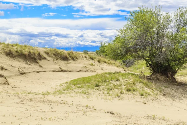 Die Great Sandhills Beherbergen Eine Der Größten Aktiven Sanddünen Kanadas — Stockfoto