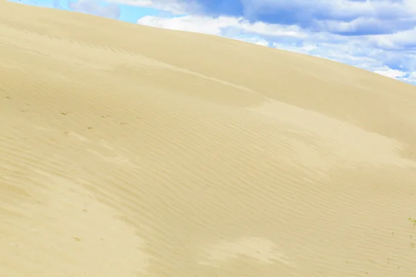 Grandes Sandhills Contêm Dos Maiores Conjuntos Dunas Areia Ativa Canadá — Fotografia de Stock