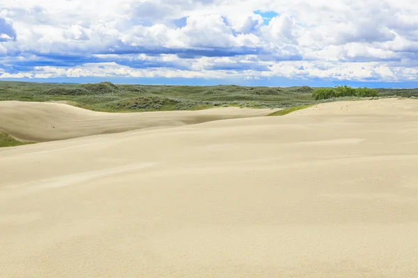 Great Sandhills Bevatten Een Van Grootste Sets Van Actieve Zandduinen — Stockfoto