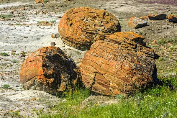 Rood rots coulee natuurgebied — Stockfoto