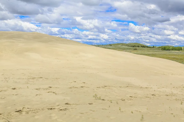 Die Great Sandhills Beherbergen Eine Der Größten Aktiven Sanddünen Kanadas — Stockfoto