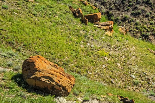 Roter Felsen coulee Naturgebiet — Stockfoto