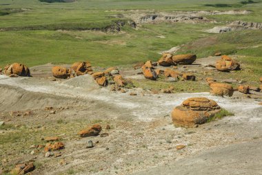 Red rock coulee doğal alanı