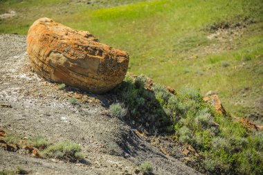 Red rock coulee doğal alanı