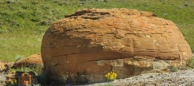 Red rock coulee doğal alanı