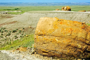 Red rock coulee doğal alanı
