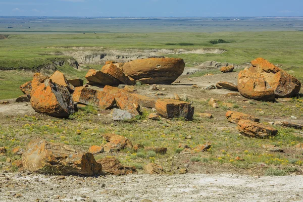 Červená skála coulee přírodní oblast — Stock fotografie