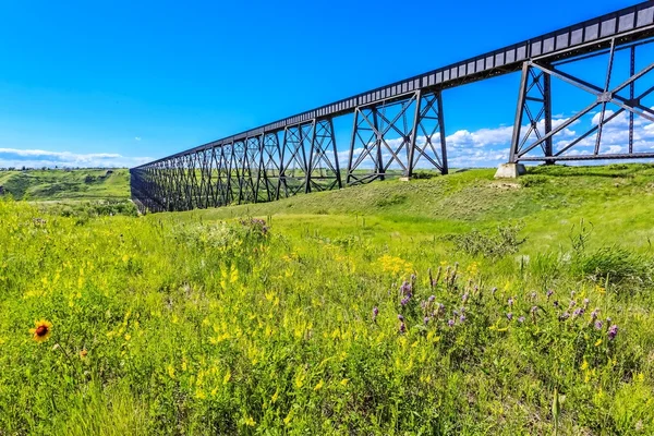 Högnivåbron Lethbridge Alberta Kanada Bron Den Längsta Och Högsta Brobron — Stockfoto