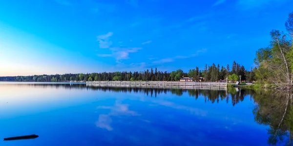 湖の穏やかな水に沿って背の高い木 — ストック写真