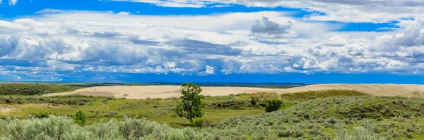 Great Sandhills Innehåller Största Uppsättningarna Aktiva Sanddyner Kanada Sanddynerna Kantade — Stockfoto