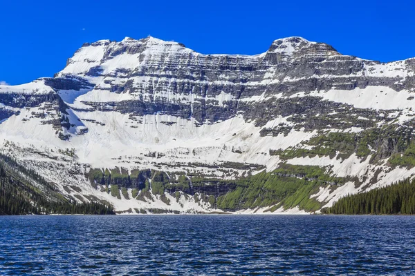 Eingebettet Ein Gletscherbecken Ist Der Cameron Lake Ein Verstecktes Juwel — Stockfoto