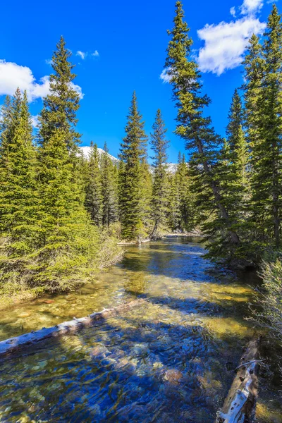 Nyugalom Természet Szépségét Waterton Tavak Nemzeti Park Tiszta Víz Zöld — Stock Fotó