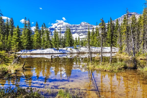 Sérénité dans les montagnes — Photo