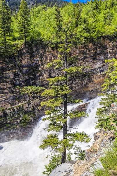 Sprakande vattenfall på våren — Stockfoto