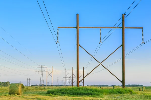 Elektrische leidingen over een veld — Stockfoto
