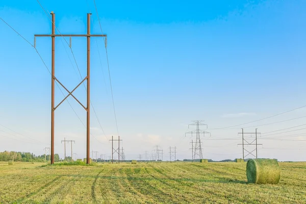 Elektrické vedení nad polem — Stock fotografie