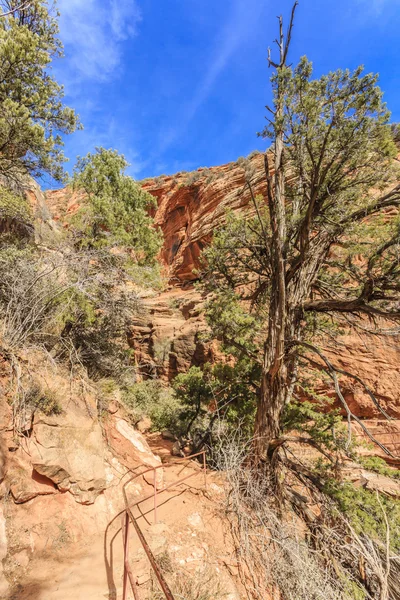 Canyon förbise Trail — Stockfoto