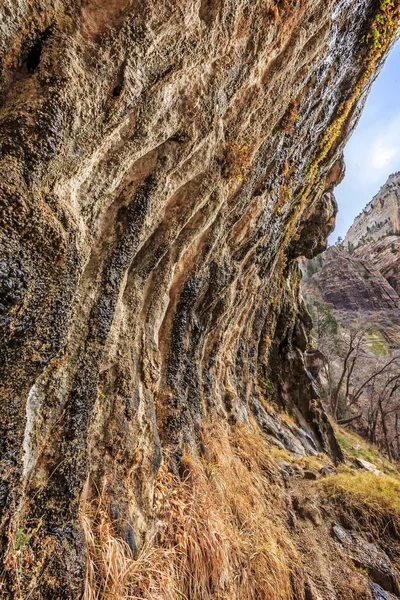 Weeping Rock no Parque Nacional de Zion — Fotografia de Stock