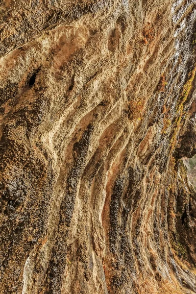 Weeping Rock no Parque Nacional de Zion — Fotografia de Stock