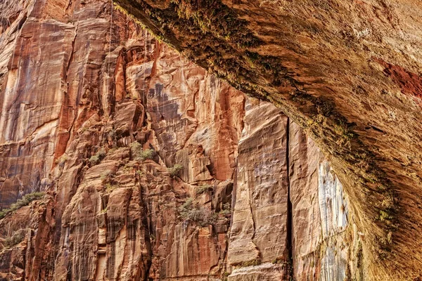 Weinender Fels im Zion-Nationalpark — Stockfoto