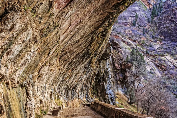 Roccia piangente al Parco Nazionale di Zion — Foto Stock