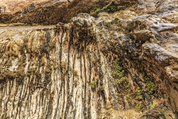 Weeping Rock no Parque Nacional de Zion — Fotografia de Stock