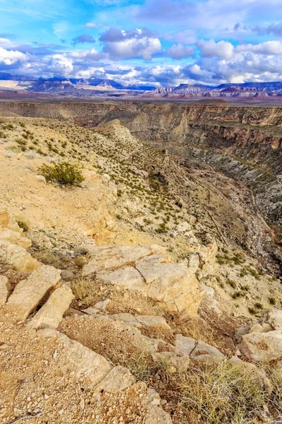 Södra utah öknen — Stockfoto