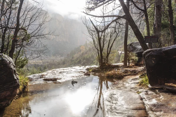 Piscina Esmeralda en el Parque Nacional Zion — Foto de Stock