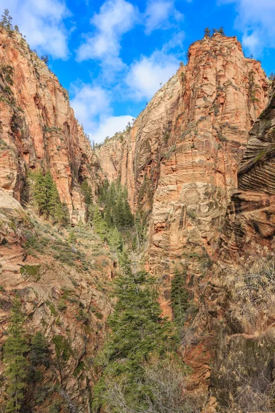 Formações rochosas no Parque Nacional de Zion — Fotografia de Stock