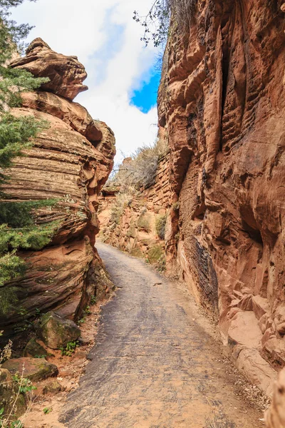 Angels Landing szlak — Zdjęcie stockowe