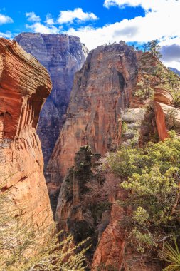 Dik ve doğal doğal kaya oluşumları, Zion National Park Utah, ABD.