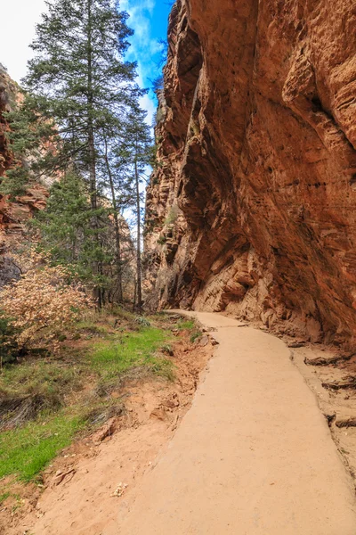 Angyalok Nyitóoldal Trail Egy Mérföldes Nyom Amely Csúcspontja Zion Nemzeti — Stock Fotó