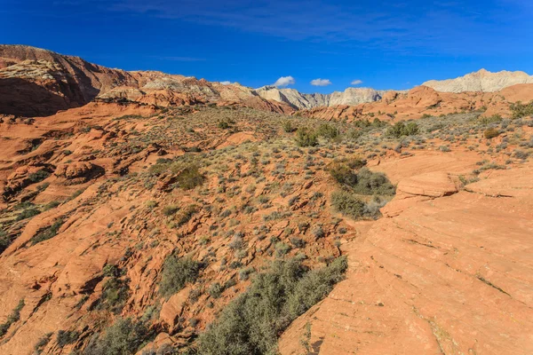 Державний Парк Снігового Каньйону Англ Snow Canyon State Park Державний — стокове фото