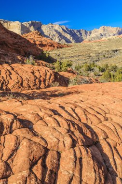 Snow Canyon State Park, ABD 'nin Utah kentinde bulunan ve kırmızı ve beyaz Navajo kumtaşlarından oyulmuş bir kanyon. Park Washington 'da Ivins, Utah ve St. George yakınlarında yer almaktadır..