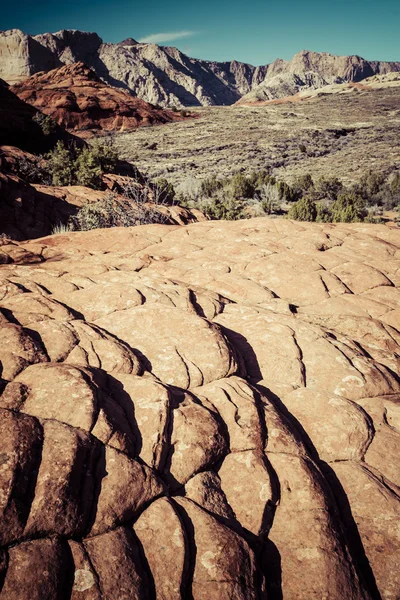 Snow Canyon State Park Parque Estadual Utah Eua Com Cânion — Fotografia de Stock