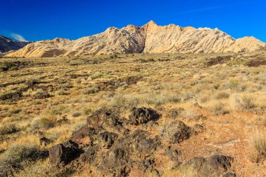Snow Canyon State Park, ABD 'nin Utah kentinde bulunan ve kırmızı ve beyaz Navajo kumtaşlarından oyulmuş bir kanyon. Park Washington 'da Ivins, Utah ve St. George yakınlarında yer almaktadır..