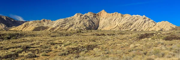 Snow Canyon State Park Egy Állami Park Utah Usa Ban — Stock Fotó