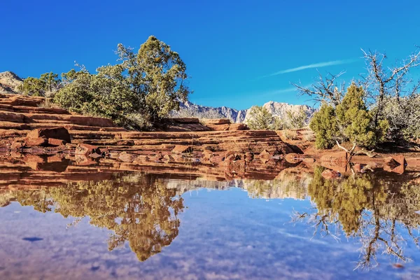 Snow Canyon State Park Ist Ein Nationalpark Von Utah Usa — Stockfoto