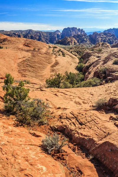 Державний Парк Снігового Каньйону Англ Snow Canyon State Park Державний — стокове фото