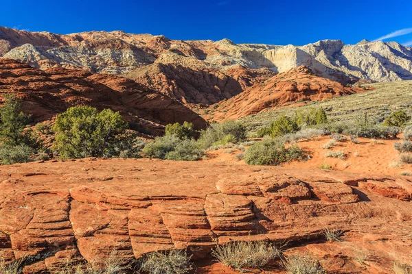 Snow Canyon State Park State Park Utah Usa Featuring Canyon — Stock Photo, Image