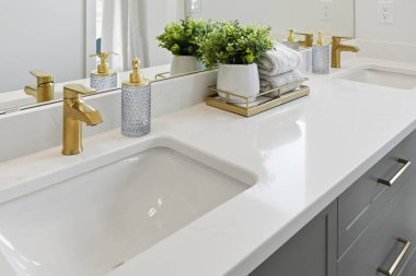 Banyo lavabosu beyaz ve altın musluğu var. İki lavabo var, biri solda ve biri sağda. Soldaki lavabonun yanında sabun makinesi ve saksı bitkisi var.