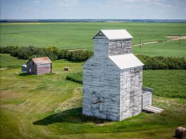 Beyaz tahıl ambarı, küçük bir evin yanındaki tarlada bulunur. Silo eski ve yıpranmış görünüyor. Tarla yemyeşil, gökyüzü açık ve mavi.