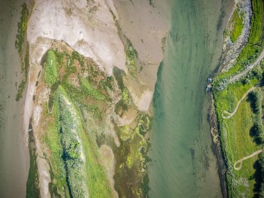 Green and brown area with a river running through it. The river is surrounded by grass and plants