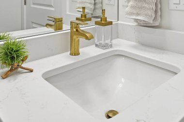 Banyo lavabosu, altın musluk ve temiz sabunlukla dolu. Lavabo beyaz ve tezgahta bir bitki var.