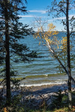 Önünde bir ağaç olan bir su kütlesinin huzurlu ve resimsel görüntüsü. Ağaç ön planda yer alırken okyanus arka planda uzanıyor ve derinlik hissi yaratıyor.